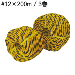 [v g[v   #12×200m 31ZbgP W[v ^CK[[v ԏꃍ[v Ђ   Ǘ z Vz tH[ h O H S ۈ