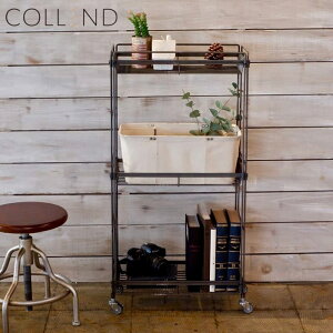 ACA VFt bN I LX^[t 3i COLLEND Rh  C[VFt 514×s264×961mm 1P g p Xgbp[t I[vbN X`[VF