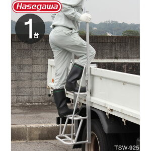 gbN ב Xebv gbNXebp[ AI|^Cv gbNב䏸~Xebv TSW-925 57.5cm 3i gbNp͂ 1P 肪_t HASEGAWA J ^ ז y n