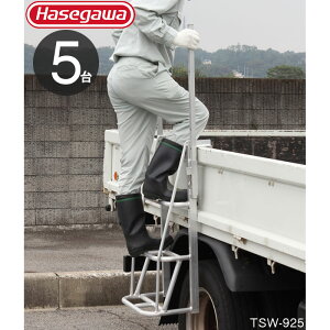 y10%OFFIX[p[SALEz gbN ב Xebv gbNXebp[ AI|^Cv gbNב䏸~Xebv TSW-925 57.5cm 3i gbNp͂ 51ZbgP 肪_t H