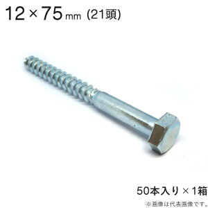 R[`{g R[`XN[ jNbL R[` XN[ {g  21 Zp 12×75mm 50{1Zbg AJ[ lW R[`{g HH ؍H t z z 