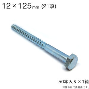 R[`{g R[`XN[ jNbL R[` XN[ {g  21 Zp 12×125mm 50{1Zbg AJ[ lW R[`{g HH ؍H t z z 