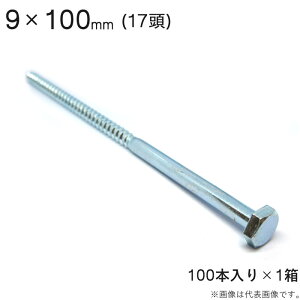 R[`{g R[`XN[ jNbL R[` XN[ {g  17 Zp 9×100mm 100{1Zbg AJ[ lW R[`{g HH ؍H t z z 