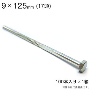 R[`{g R[`XN[ jNbL R[` XN[ {g  17 Zp 9×125mm 100{1Zbg AJ[ lW R[`{g HH ؍H t z z 