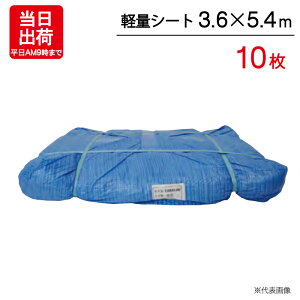 u[V[g 3.6m×5.4m A yʃV[g 10P ngt W[ V[g ~  ЊQ 䕗 h { ΍ ^ sy Ԍ C Lv eg J悯 h O AEghA  