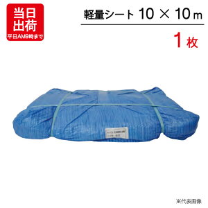 u[V[g 10×10m A yʃV[g 1P W[ V[g ~  ЊQ 䕗 h { ΍ ^ sy Ԍ C Lv eg J悯 h O AEghA   DIY