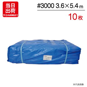 u[V[g 3.6m×5.4m A #3000 10P ngt W[ V[g ~  ЊQ 䕗 h { ΍ ^ sy Ԍ C Lv eg J悯 h O AEghA   DIY