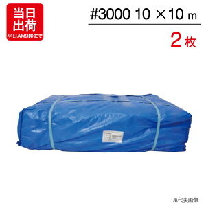 u[V[g 10×10m A #3000 2P W[ V[g ~  ЊQ 䕗 h { ΍ ^ sy Ԍ C Lv eg J悯 h O AEghA   DIY