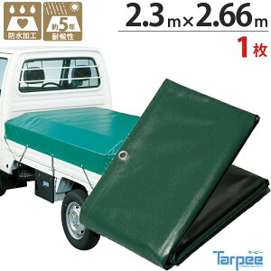 ^gbN בV[g ^[s[ GXez gbNV[g H-2 850kg 2.3m×2.66m O[ 1P Soh20{t H{ ngt ό󐫖5N H ^ z Ɩ J悯 