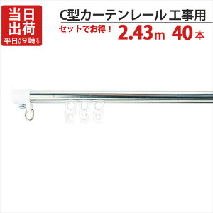 y8%OFFN[|p`12/4 14܂Łz J[e[ XeX C^C Hp 2.43m CLbv×2 Ci[×24 t 40ZbgP @\(c)ZAI-911-C1 ZI-805-C1 scZO-10Y