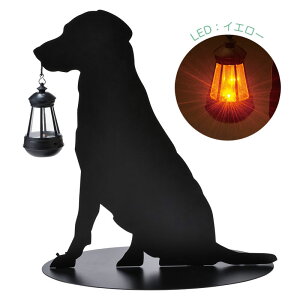 \[[Cg O hJdl U LED K[fCg ZT[t Ɩ TreeDog VGbg\[[ hbN  47×s30×48.5cm 1P g O   GgX Ki 