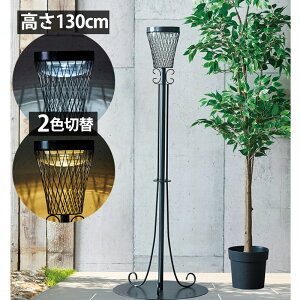 \[[Cg O hJdl U LED V{ Cg \[[Xg[gCg130 48×s48×131.5cm 1P g ZT[t zCgEdF 2Fؑ 8ԓ_   