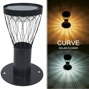 \[[Cg O hJdl U LED \[[t[ CURVE a22×35cm 1P g ZT[t zCgEdF 2Fؑ 8ԓ_   GgX Ki S  Ɩ