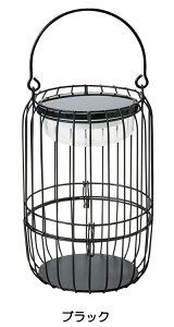\[[Cg O hJdl U LED \[[^ ubN  Jbp[ 20×s21.5×30.5cm 1P g ZT[t zCgEdF 2Fؑ 8ԓ_ nht  
