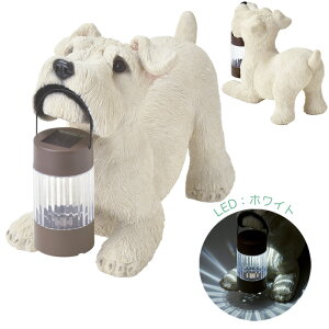 \[[Cg O hJdl U LED K[fCg ZT[t Ɩ ~j`AViEU[ \[[I[ig 16×s32.5×23.5cm 1P g O   Gg