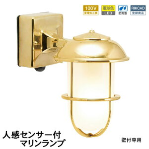 ZT[Cg O h hJ lZT[Cg ֏Ɩ 和 哔 LED }v }Cg ^J BR5000 FR LE SL LED 100V dF KX S[h uX F dグ h