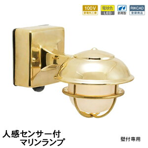 ZT[Cg O h hJ lZT[Cg ֏Ɩ 和 哔 LED }v }Cg ^J BR5000 SHORT FR LE SL LED 100V dF KX S[h uX dグ h 