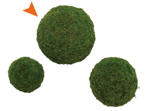 y10%OFFIX[p[SALEz RPEJWہiJWSP lbg}bgj ΂O~ 4Zbg A  c