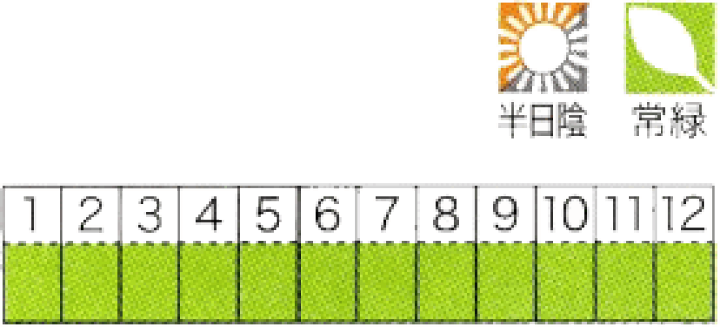 楽天市場】コケ・ハイ苔（ハイゴケ 這苔 ネットマット）緑の絨毯 8枚