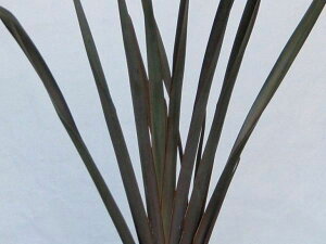 j[TCEp[vA Ϗܗp ϗtA A Ԓd A