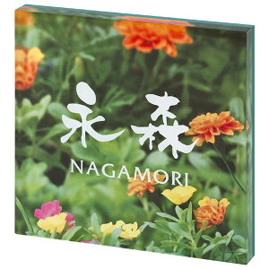 \D ˌ  AN\D PYS-6-6 zCg TCv[g l[v[g