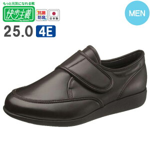 y10%OFFIX[p[SALEz `L052 x[W ATqR[|[V hJ  C EH[LOV[Y Xj[J[ p fB[X ֗ y S ⏕ 