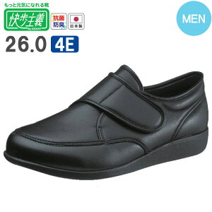 y8%OFFN[|p`12/4 14܂Łz `M021 ubNX[X ATqR[|[V jp  C EH[LO Xj[J[ y }WbNe[v