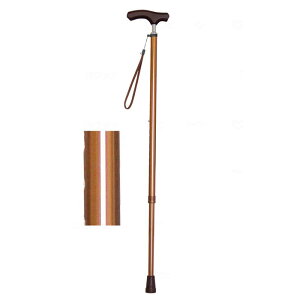 CtXebL XlbNLkX^Cv n EFt@   XebL Lk RpNg s ⏕  hV̓ 蕨 v[g