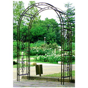 K[fA[` ACAA[` exb SST-IPN-7973 uY/ AeB[NzCg oA[` K[ft@j`[ |pi s