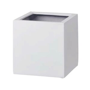 v^[ ^  ` Aؔ  vX`bN |e] L[u|bg GJ[ 50×s50×50 ubN zCg [^ K[fjO |pi  IuWF 