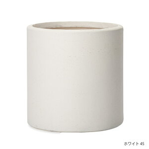Aؔ v^[ ^ t@Co[ t@Co[v^[ At@45 zCg ubN 45×45cm K[fjO|pi