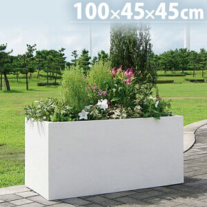 v^[ ^ Aؔ ` t@Co[NC   _ 1000×s450×450 zCg ubN O[  K[fjO y |pi   [^ ndl 