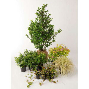 u[[ u[vZX Ȃ  ZbgAbvK[f A c  Zbgi