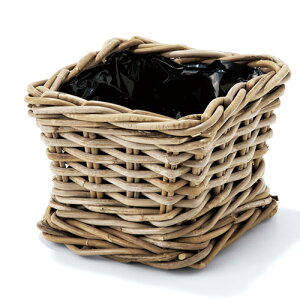 yAEgbgzMaison Pederrey(] yf[) oXPbg XNGA W20×D20×H16cm