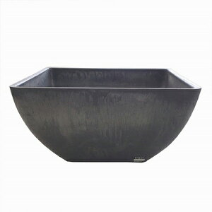 y8%OFFN[|p`12/4 14܂Łz D&M(fB[AhG) TvCYXNGAv[g 30×30×15 O[Jo[  |bg t[|bg i O | K[fjOpi K[fj