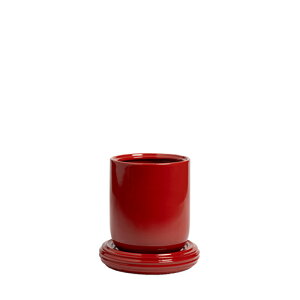 &Klevering(�A���h�N���x����) �`�����X�|�b�g �o�[�K���f�B ��19.5