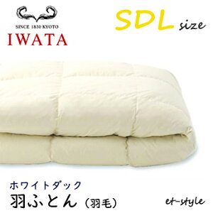 C^ HӂƂ HтӂƂ SDL zCg_bN _E80% Z~_u DE-QM26-300 |Q  Hѕzc IWATA