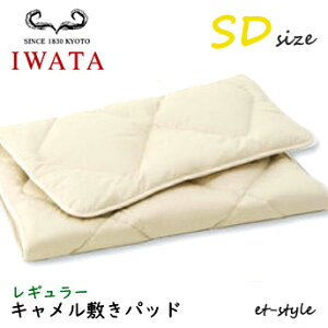 C^ L~pbh SD M[ DE-CP107-550 xbhpbh Z~_u ӂƂ xbh IWATA