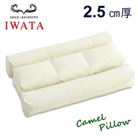 【レビュー特典】イワタ キャメルピロー2.5センチ厚 枕 ふとん ベッド IWATA