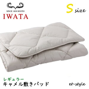 C^ L~pbh S M[ DE-CP107-550 xbhpbh VO ӂƂ xbh IWATA