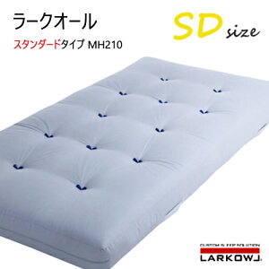 C^ [NI[ SD M[ L N Z~_u MH210 ӂƂ ObhfUC }bgX xbh IWATA