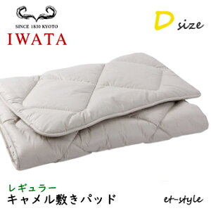 C^ L~pbhD M[DE-CP107-550 xbhpbh _u ӂƂ xbh IWATA