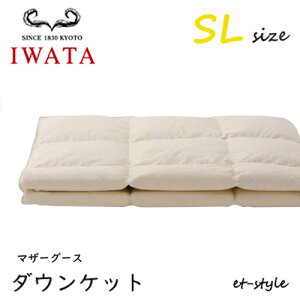 C^ _EPbg SL }U[O[X90% VO DE-KS89-222 |Q ӂƂ   xbh Hѕzc IWATA