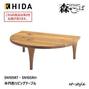 ˎY X̂Ƃ ό`e[u Z^[e[u ~` rOe[u SN105T SN105H I[N i C HIDA