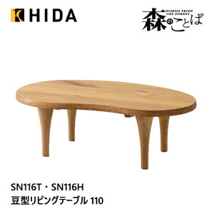 ˎY X̂Ƃ ό`e[u Z^[e[u r[Y` rOe[u SN116T SN116H ^ I[N i C HIDA