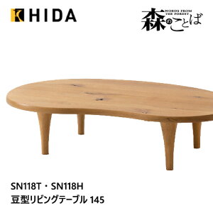 ˎY X̂Ƃ ό`e[u Z^[e[u r[Y` rOe[u SN118T SN118H ^ I[N i C HIDA