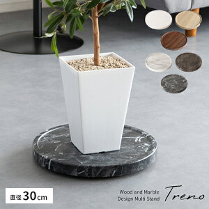 y[zv^[X^h g[m 30cm Treno MST-D300 LX^[t  ~` ؖ 嗝Ε 10 }`v[g ϗtA fUC