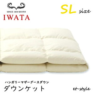 C^ _EPbg SL nK[}U[O[X _E95% VO DE-KS71-805 |Q ӂƂ   xbh Hѕzc IWATA