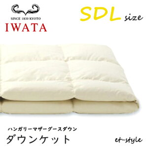 C^ _EPbg SDL nK[}U[O[X _E95% Z~_u DE-KS71-805 |Q ӂƂ   xbh Hѕzc IWATA