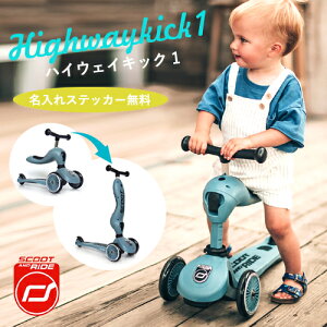 y[ / XebJ[zXN[gAhCh nCEFCLbN1 LbNXN[^[ 2WAY LbYoCN O֎ J[Tb`  